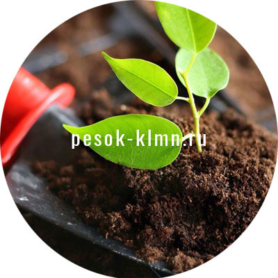 kolomna sheben kolomna sheben